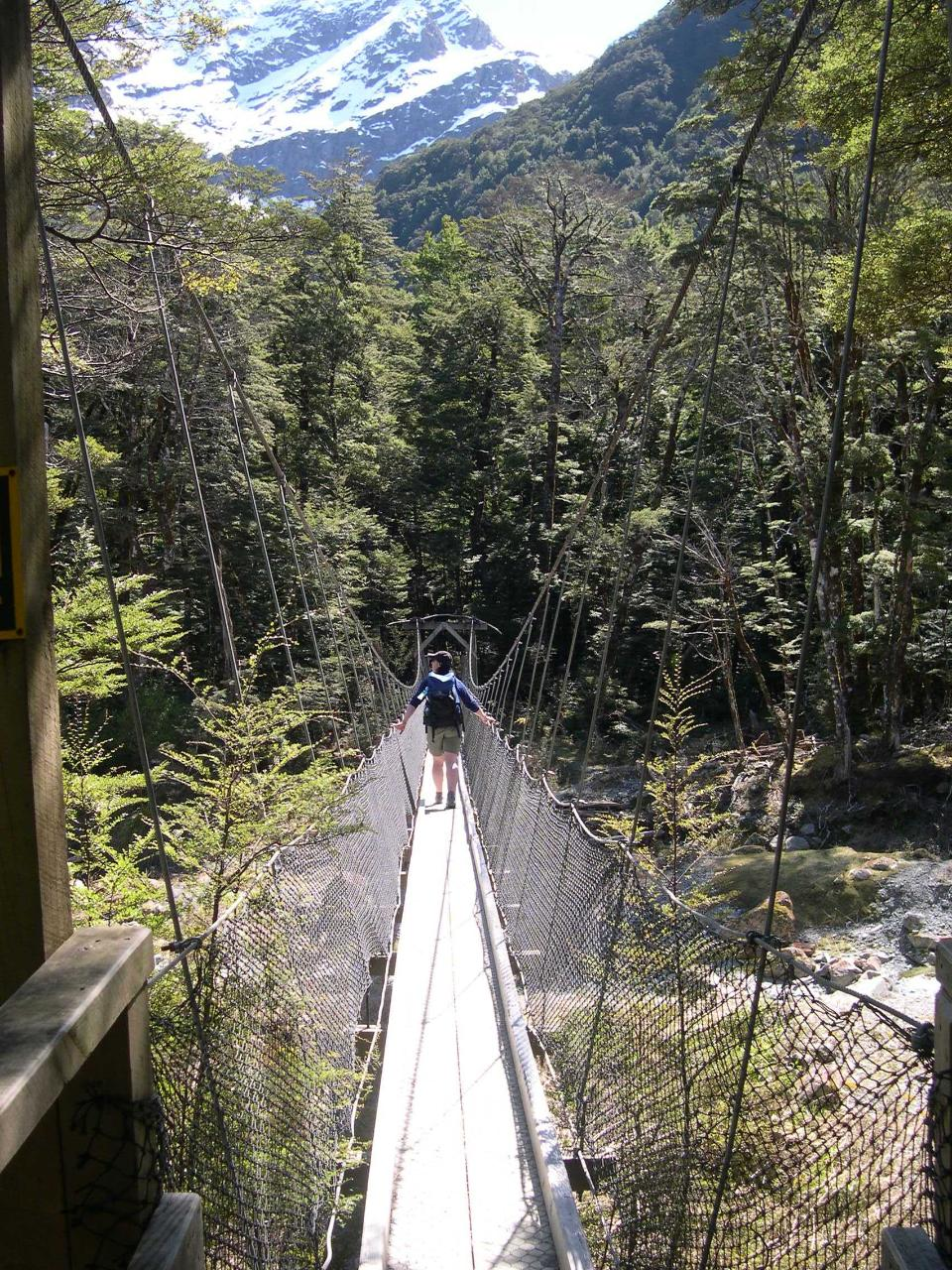 Routeburn Guided Walk Half Day - Photo 1 of 4